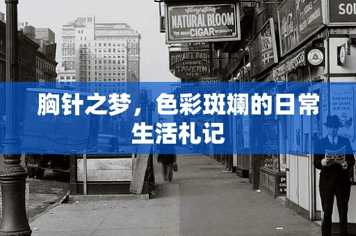 胸针之梦，色彩斑斓的日常生活札记