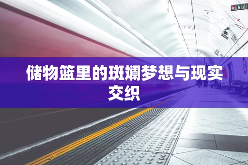储物篮里的斑斓梦想与现实交织