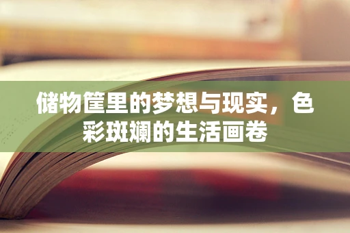 储物筐里的梦想与现实，色彩斑斓的生活画卷
