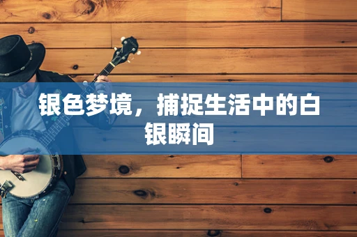 银色梦境，捕捉生活中的白银瞬间