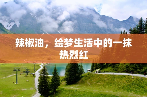 辣椒油，绘梦生活中的一抹热烈红
