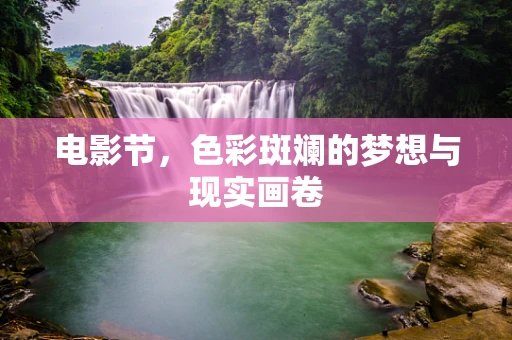 电影节，色彩斑斓的梦想与现实画卷