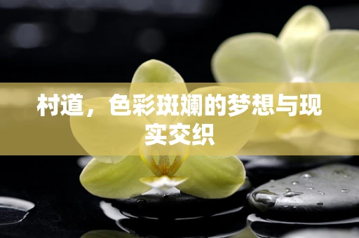 村道，色彩斑斓的梦想与现实交织