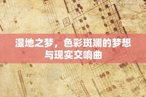 湿地之梦，色彩斑斓的梦想与现实交响曲