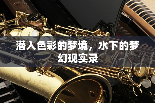 潜入色彩的梦境，水下的梦幻现实录