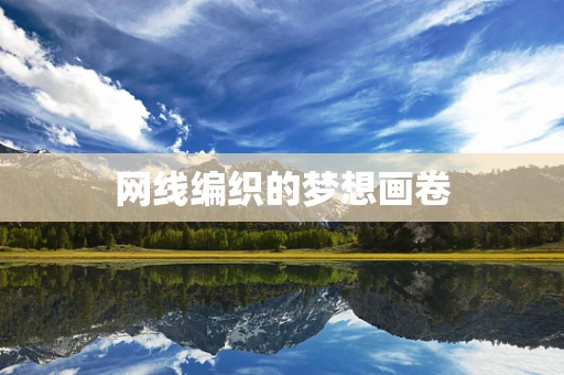 网线编织的梦想画卷