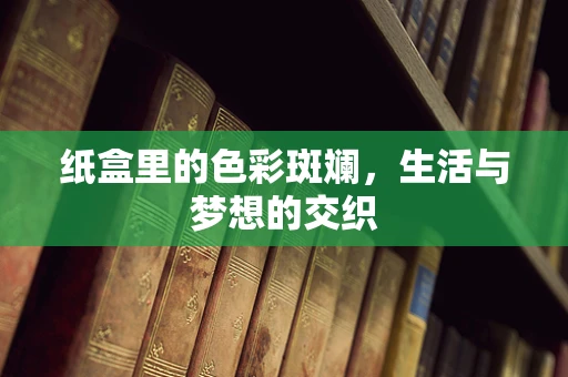 纸盒里的色彩斑斓，生活与梦想的交织
