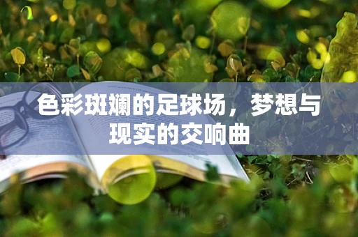 色彩斑斓的足球场，梦想与现实的交响曲