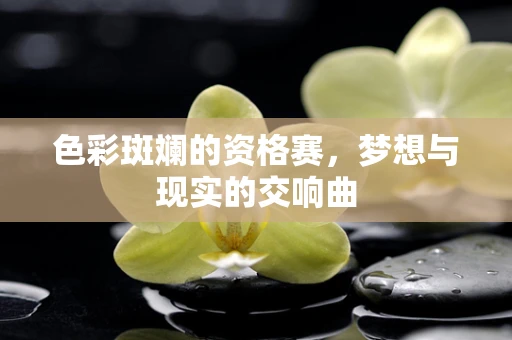 色彩斑斓的资格赛，梦想与现实的交响曲