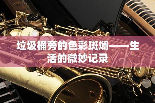 垃圾桶旁的色彩斑斓——生活的微妙记录