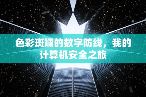 色彩斑斓的数字防线，我的计算机安全之旅