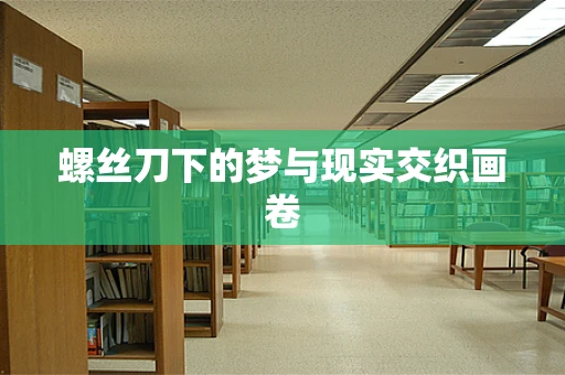 螺丝刀下的梦与现实交织画卷