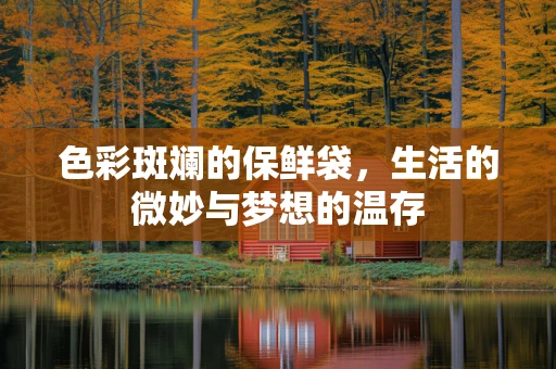 色彩斑斓的保鲜袋，生活的微妙与梦想的温存