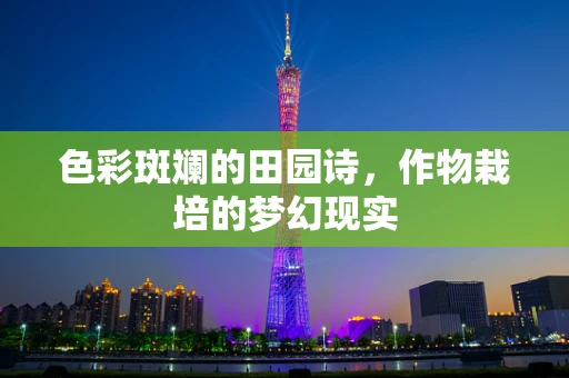 色彩斑斓的田园诗，作物栽培的梦幻现实