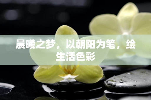 晨曦之梦，以朝阳为笔，绘生活色彩