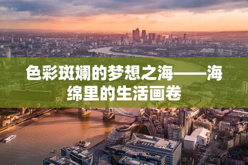 色彩斑斓的梦想之海——海绵里的生活画卷
