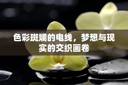 色彩斑斓的电线，梦想与现实的交织画卷