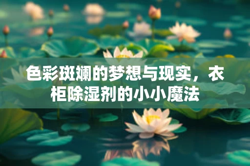 色彩斑斓的梦想与现实，衣柜除湿剂的小小魔法