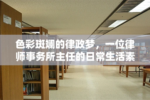 色彩斑斓的律政梦，一位律师事务所主任的日常生活素描