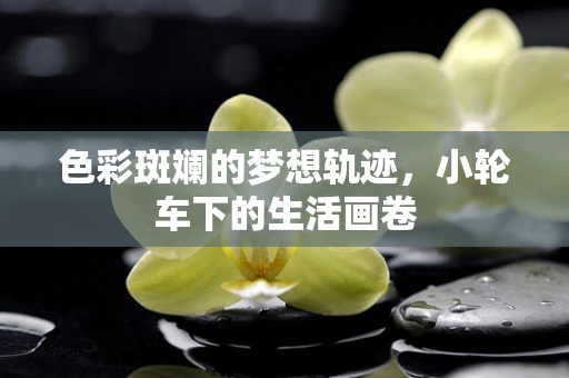 色彩斑斓的梦想轨迹，小轮车下的生活画卷