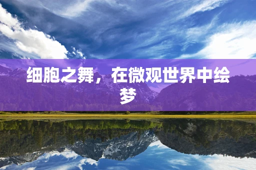 细胞之舞，在微观世界中绘梦