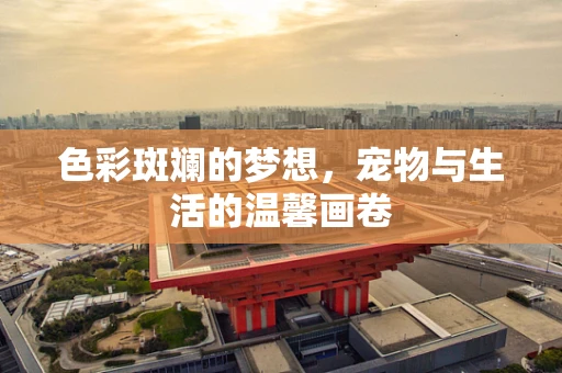 色彩斑斓的梦想，宠物与生活的温馨画卷