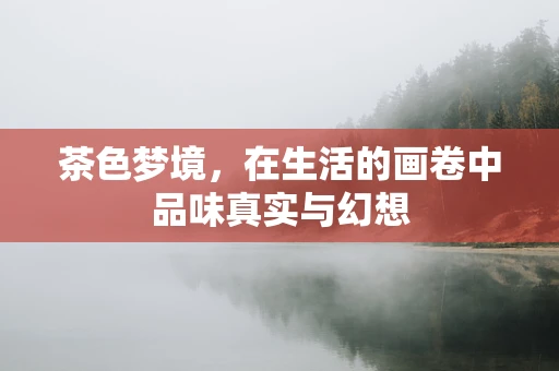 茶色梦境，在生活的画卷中品味真实与幻想