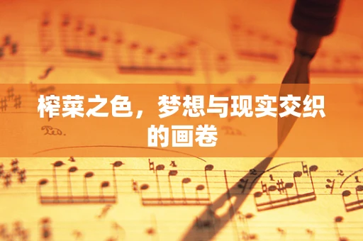 榨菜之色，梦想与现实交织的画卷