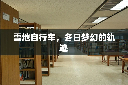 雪地自行车，冬日梦幻的轨迹