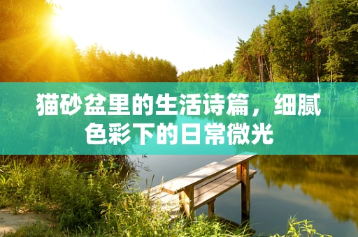 猫砂盆里的生活诗篇，细腻色彩下的日常微光