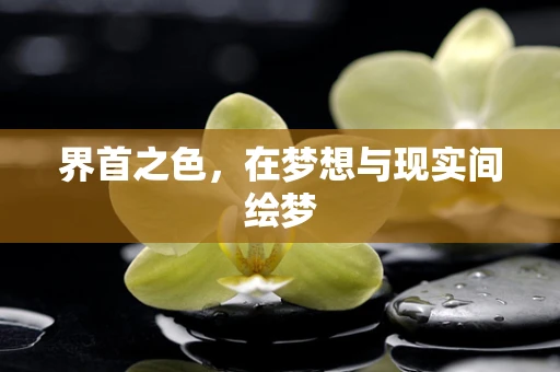 界首之色，在梦想与现实间绘梦
