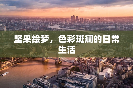 坚果绘梦，色彩斑斓的日常生活