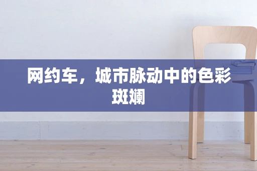 网约车，城市脉动中的色彩斑斓