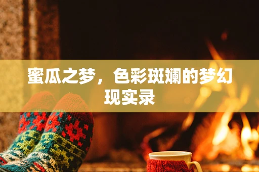 蜜瓜之梦，色彩斑斓的梦幻现实录