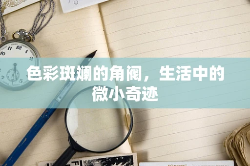 色彩斑斓的角阀，生活中的微小奇迹