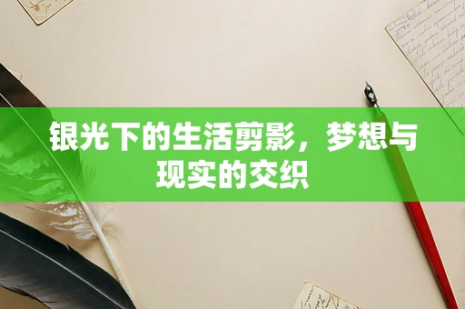 银光下的生活剪影，梦想与现实的交织