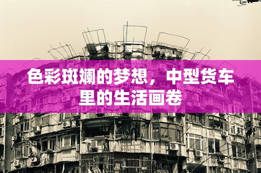 色彩斑斓的梦想，中型货车里的生活画卷