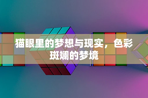 猫眼里的梦想与现实，色彩斑斓的梦境