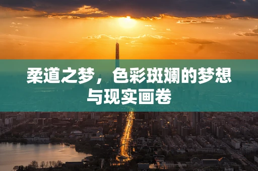 柔道之梦，色彩斑斓的梦想与现实画卷