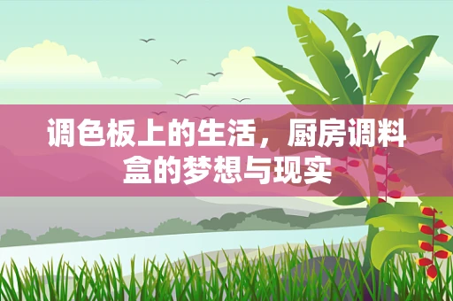调色板上的生活，厨房调料盒的梦想与现实