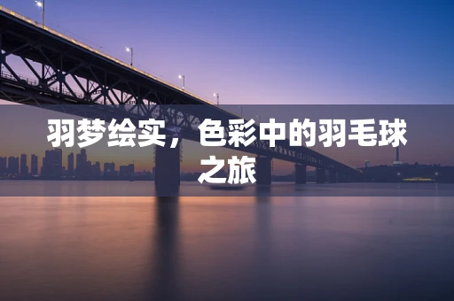 羽梦绘实，色彩中的羽毛球之旅