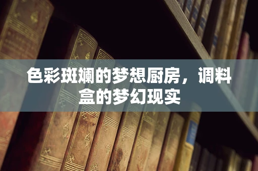 色彩斑斓的梦想厨房，调料盒的梦幻现实