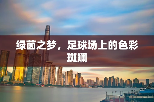 绿茵之梦，足球场上的色彩斑斓