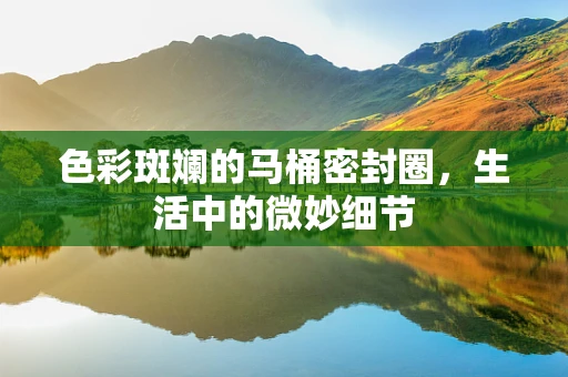 色彩斑斓的马桶密封圈，生活中的微妙细节