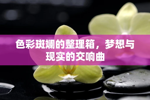 色彩斑斓的整理箱，梦想与现实的交响曲