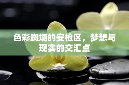色彩斑斓的安检区，梦想与现实的交汇点