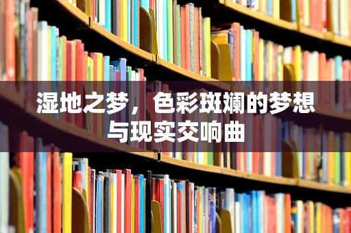 湿地之梦，色彩斑斓的梦想与现实交响曲
