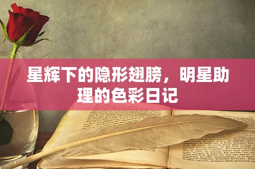 星辉下的隐形翅膀，明星助理的色彩日记