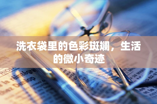 洗衣袋里的色彩斑斓，生活的微小奇迹