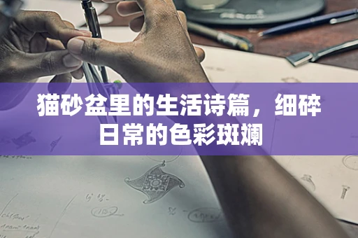 猫砂盆里的生活诗篇，细碎日常的色彩斑斓